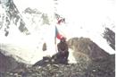 thumbnail290.jpg